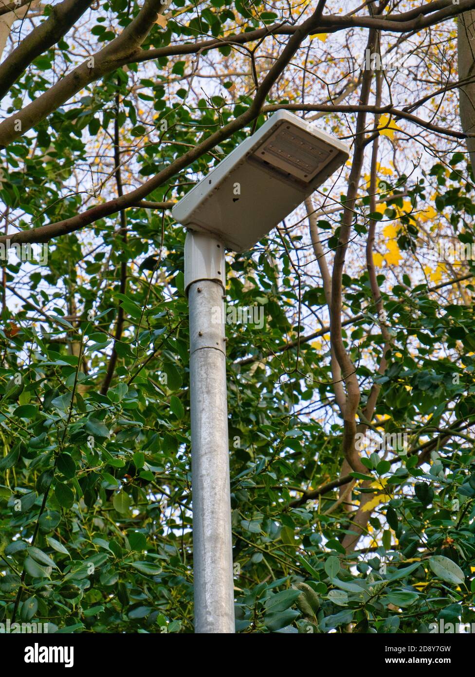 A replacement steel street light with low power LED lighting fitted - part of a local authority energy saving programme. Stock Photo