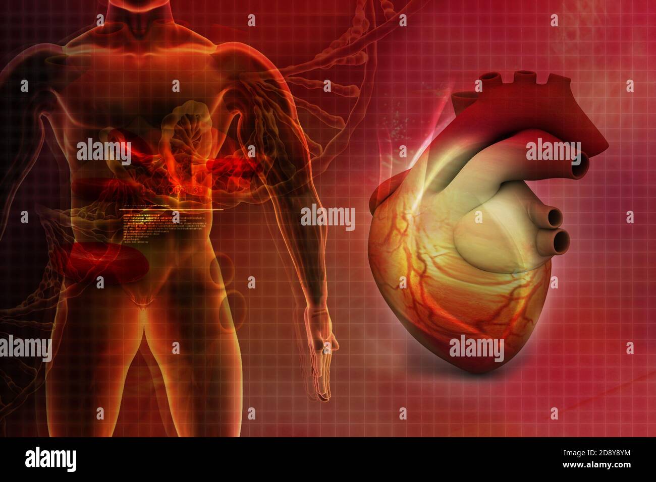 Digital illustration of Human heart in abstract background Stock Photo ...