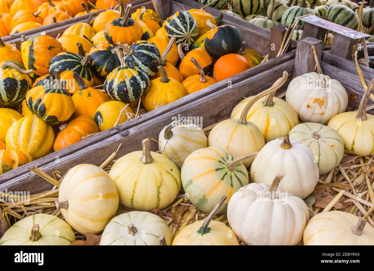 Produce in wooden boxes hi-res stock photography and images - Alamy