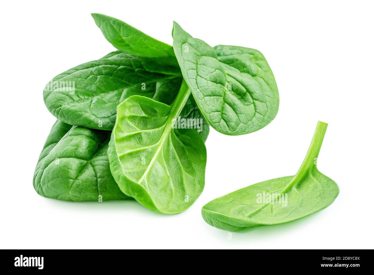 Spinach leaves isolated on white background. Fresh spinach Close up ...