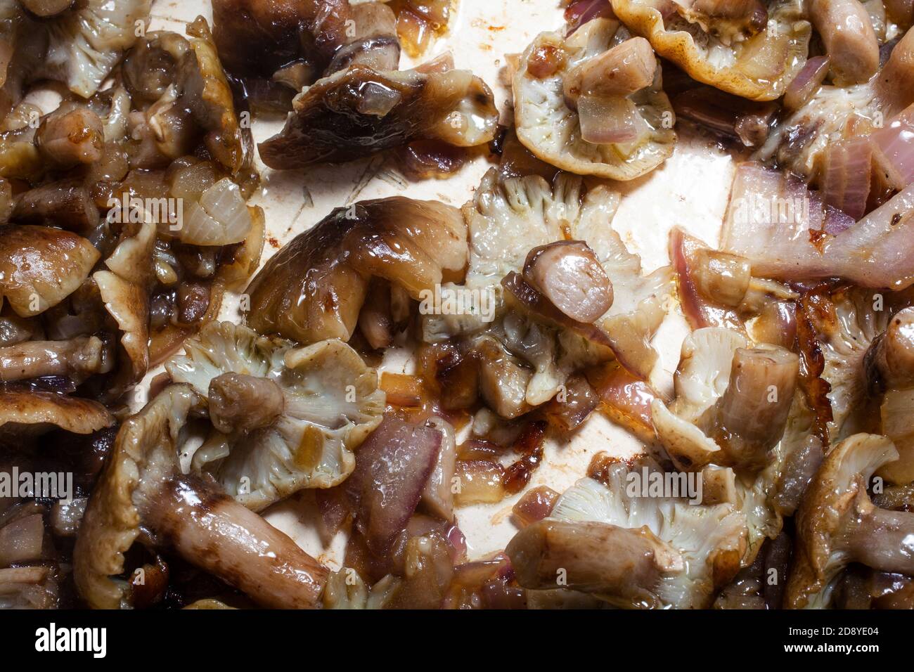 Detail Photo From Above ofSheathed Wood Tuft Mushroom Tops With Onion Baked in Olive Oil Stock Photo