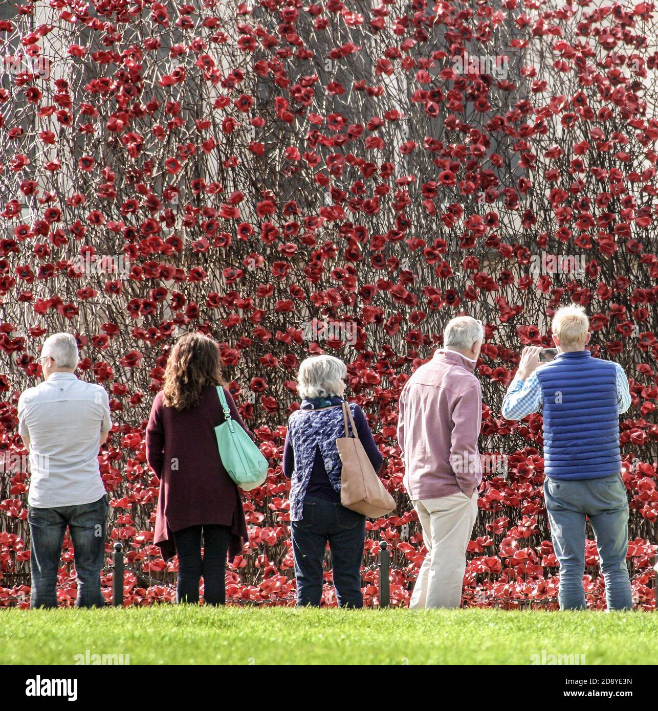 Reportage Visitors  admire the ‘Wave’ of poppies at Plymouth War Memorial in 2017. The ceramic poppies are a part of an art instalation Stock Photo