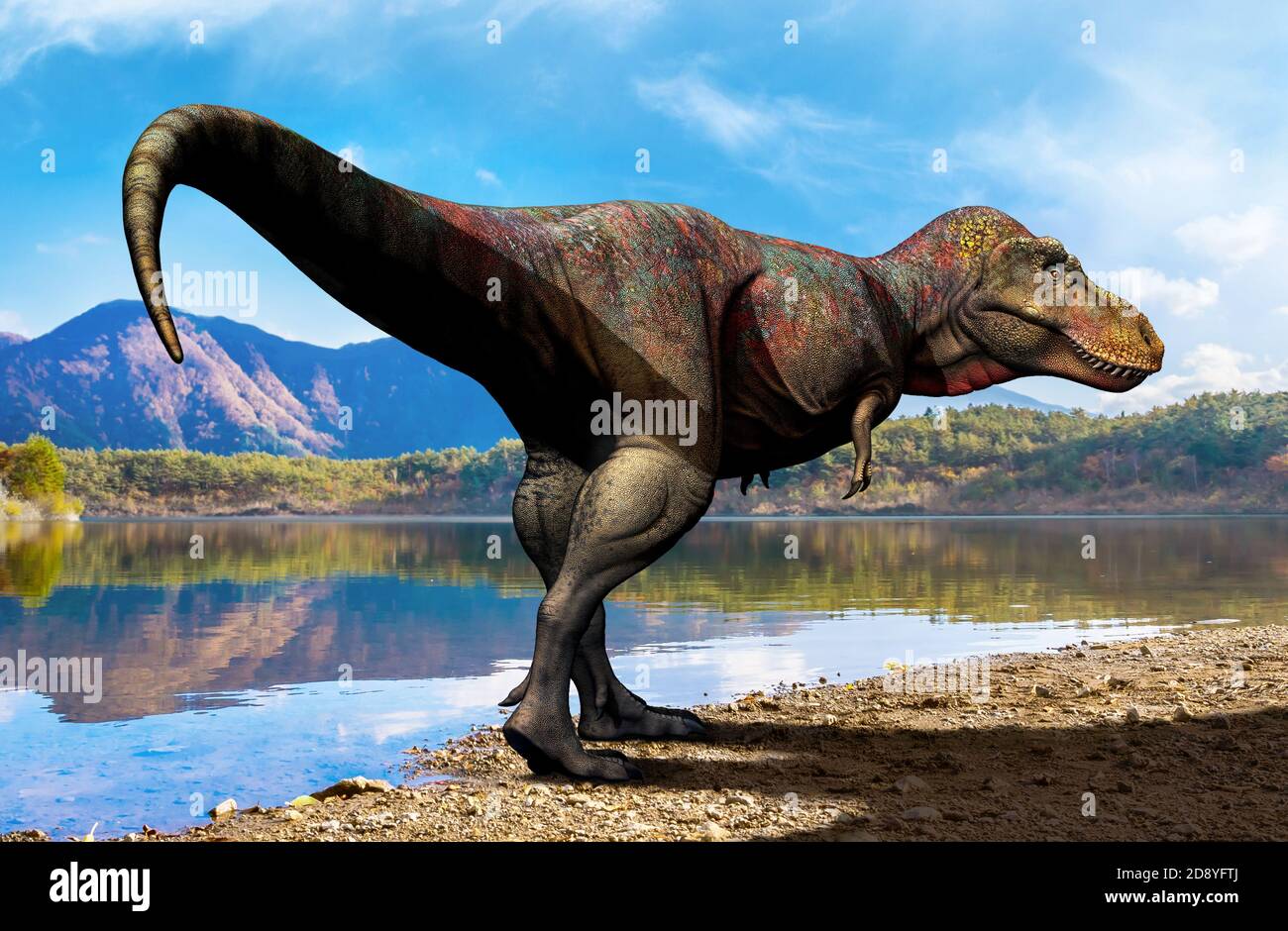 Zhuchengtyrannus, a genus of tyrannosaurid theropod dinosaur from the Late Cretaceous period of  China. Stock Photo