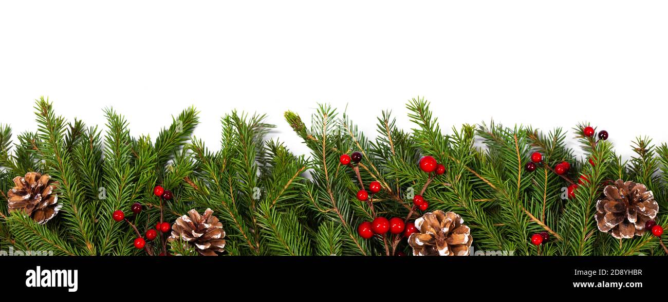Christmas white blank card with copy space and frame decor of fir tree ...