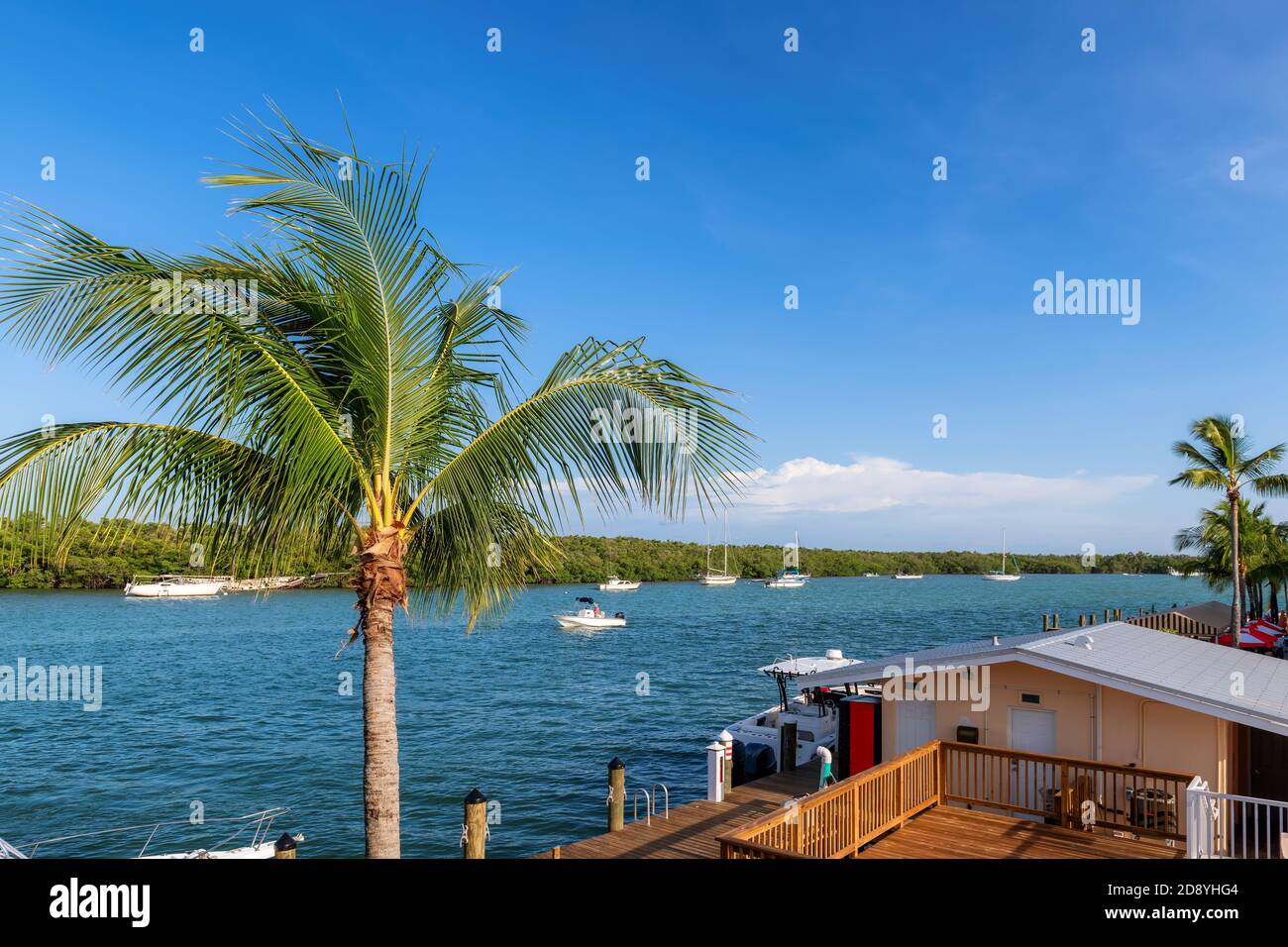 Palm tree over sea pier and sea boats on bay in Key West, Florida, USA Stock Photo