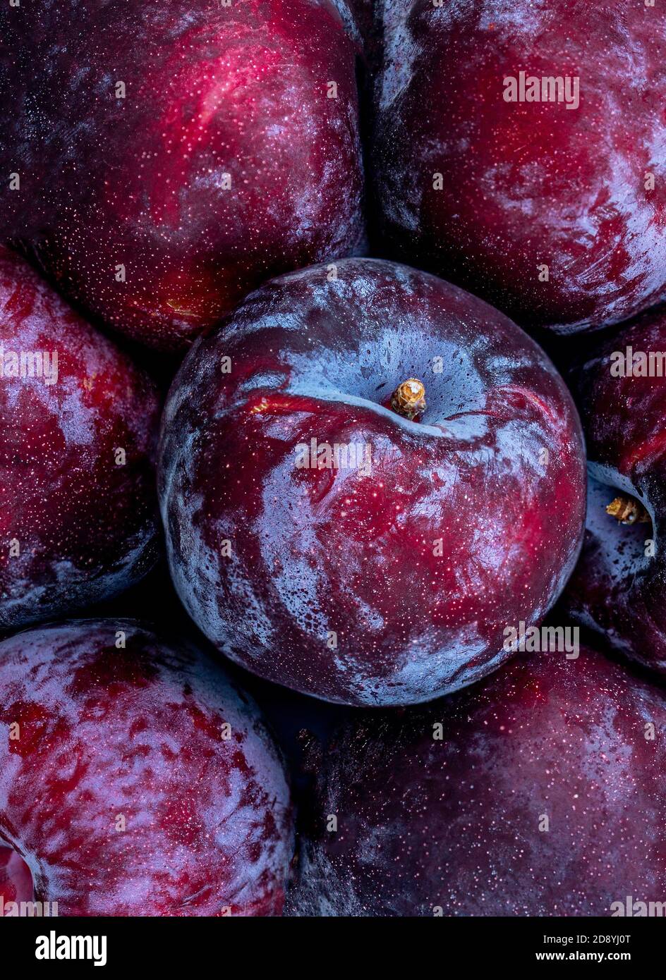 Ripe  Plum fruits Background. Fresh blue plums Macro. Stock Photo