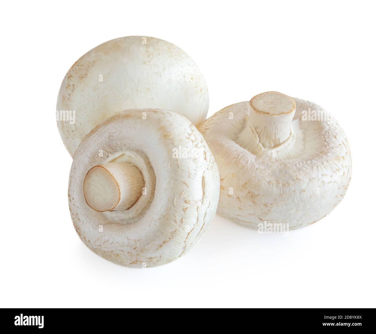 Fresh champignon mushrooms isolated on white background. Three ...