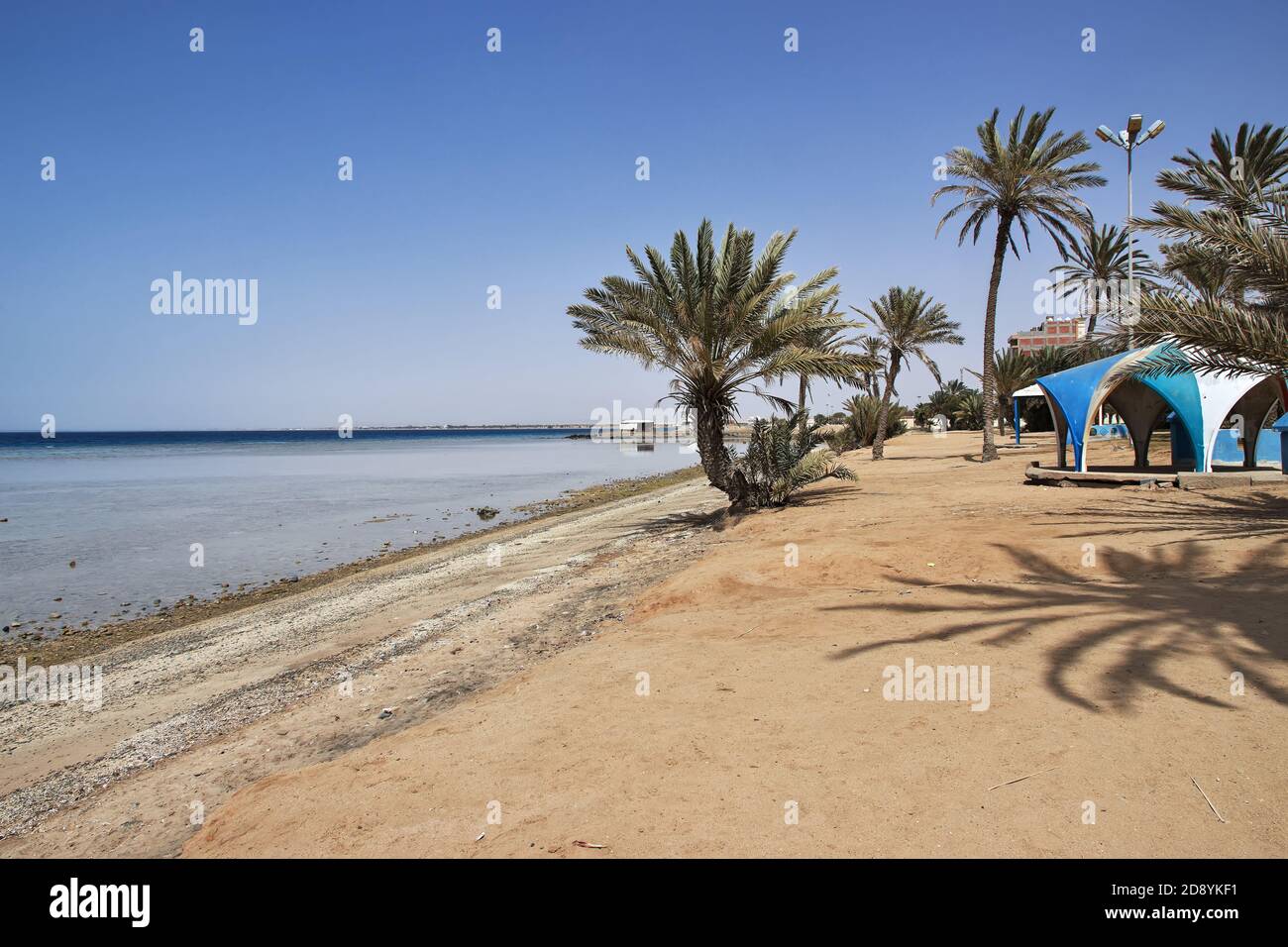 The beach of Red sea, Saudi arabia Stock Photo - Alamy