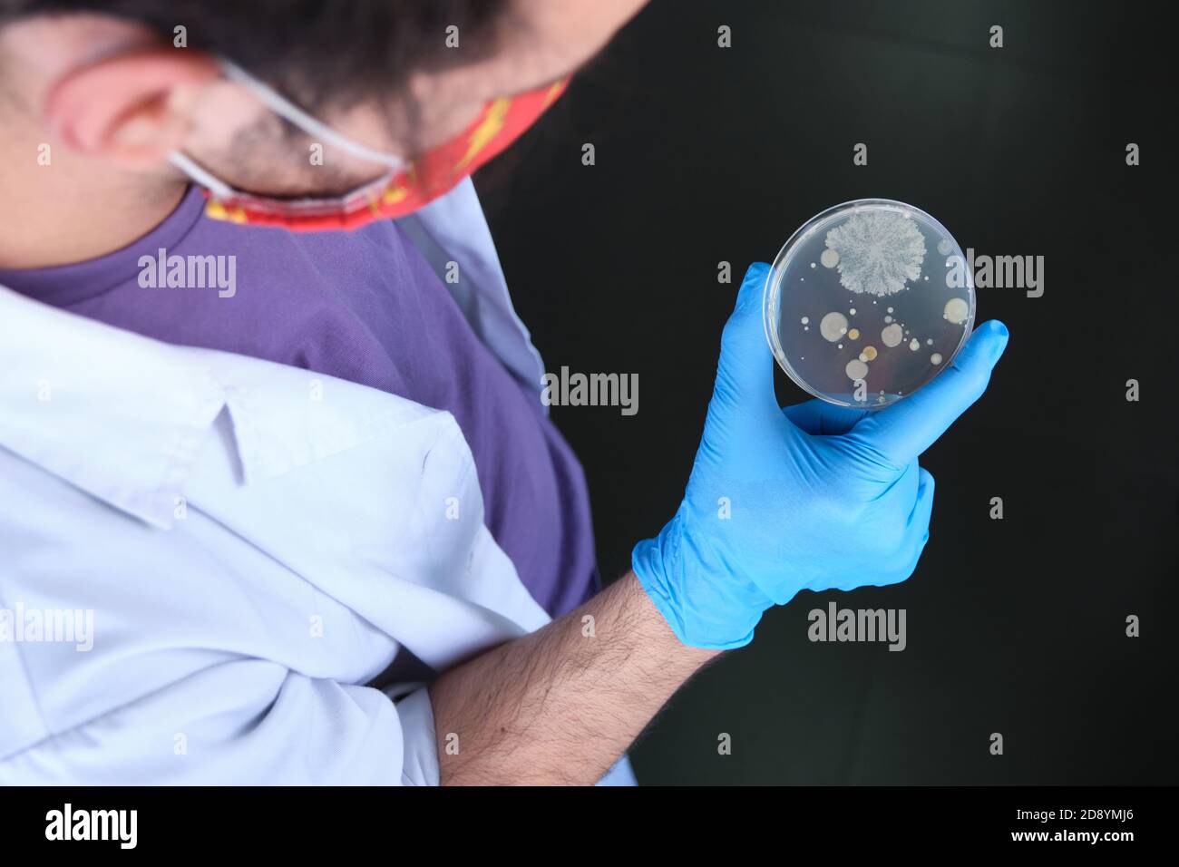 Scientist Routine Scientist wearing protective face mask holding a petri dish with ...