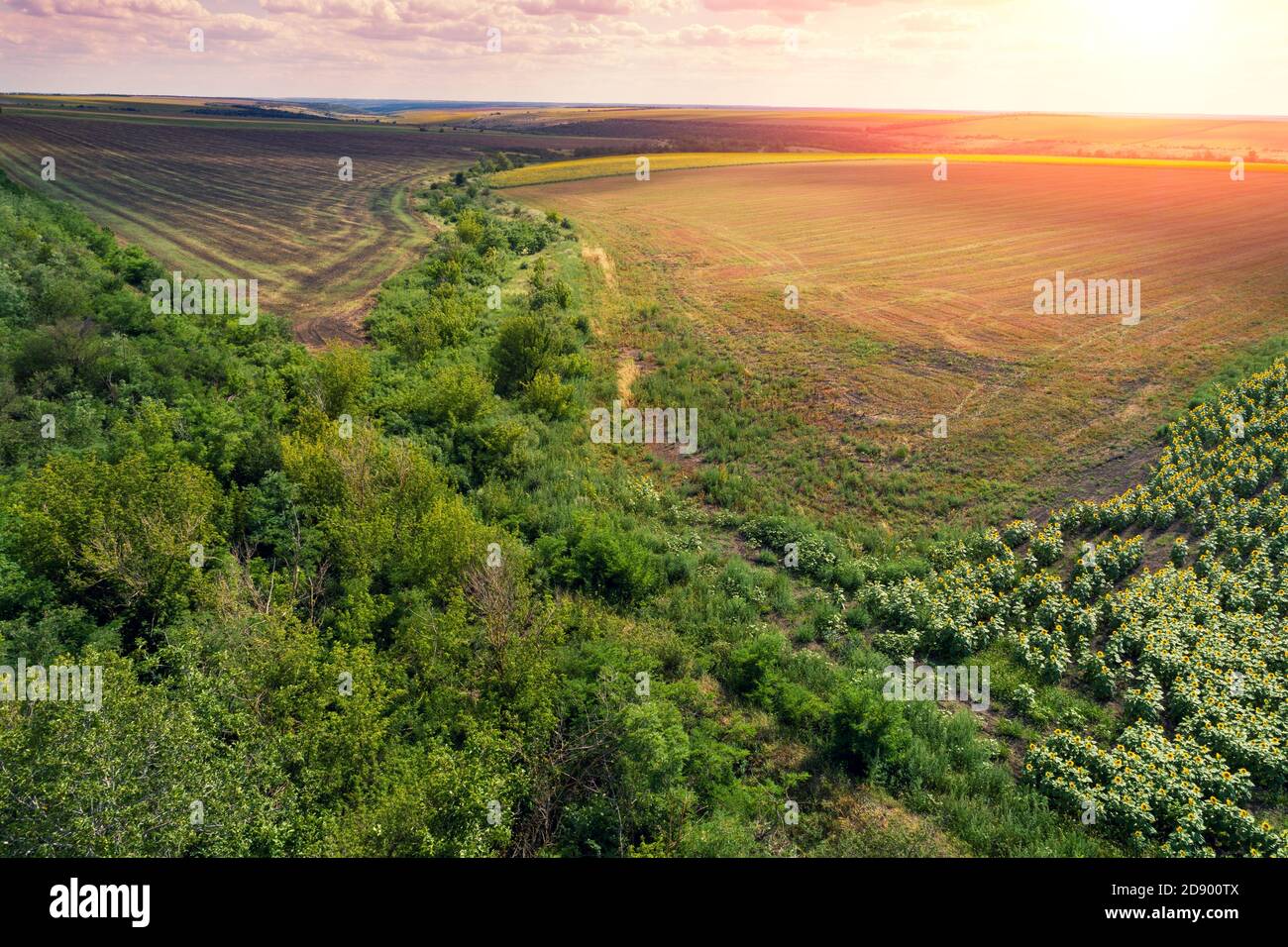 Summer rural landscape. Panoramic view of arable fields. View from above. Countryside. Nature background Stock Photo