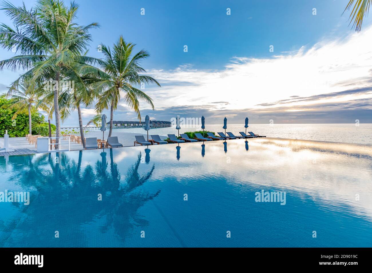 Summer beach swimming pool on sunny day with reflection of palm trees, tropical landscape, exotic island hotel resort concept. Luxury infinity pool Stock Photo