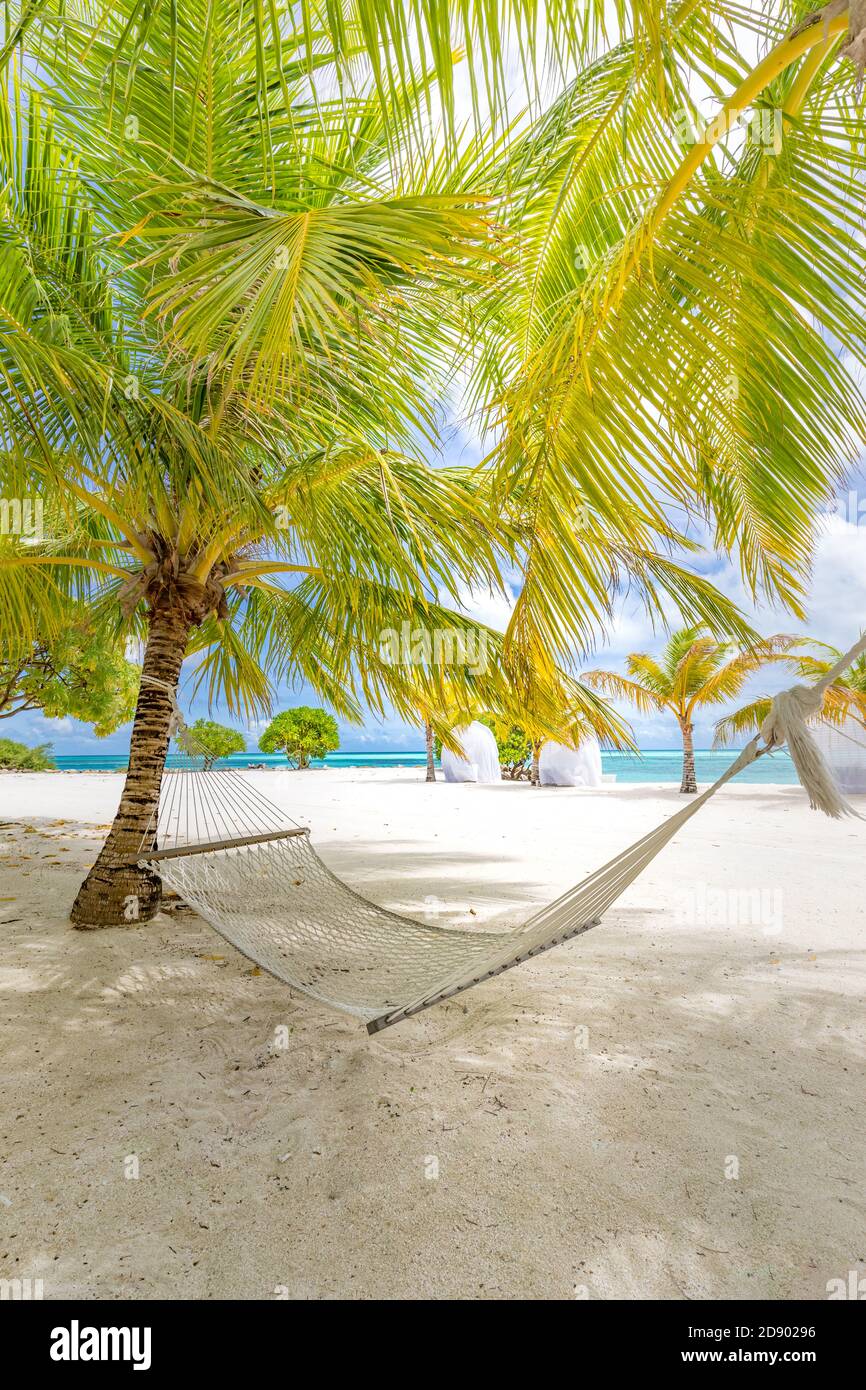 Beach hammock between palms trees cloudy sky, ocean. Sunny paradise beach with palm trees and traditional braided hammock Stock Photo