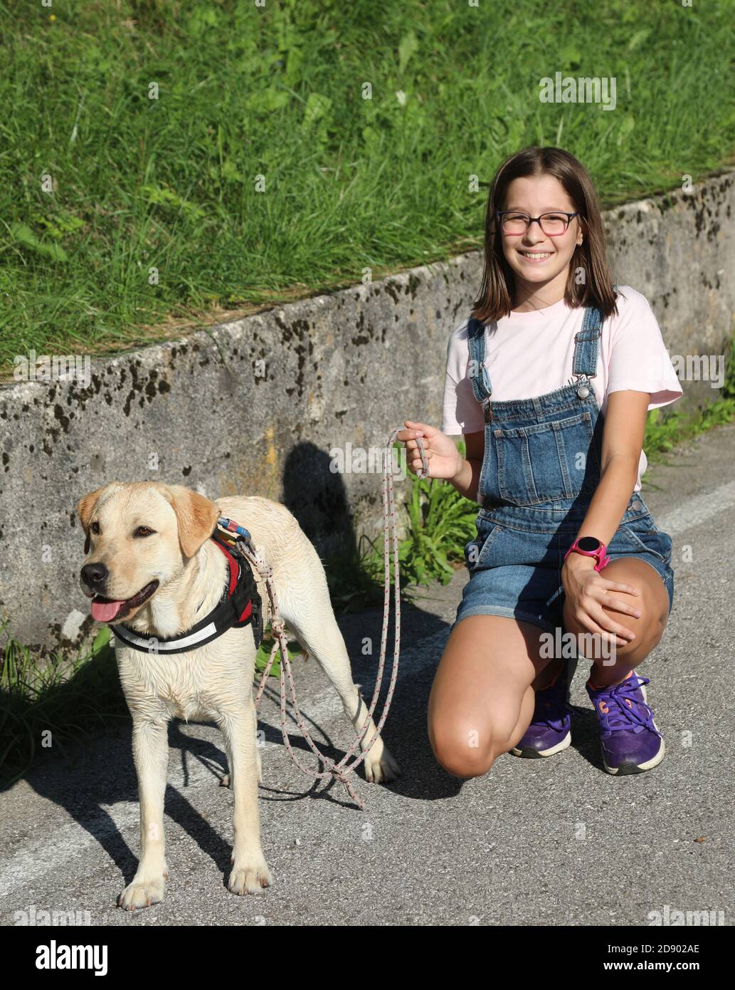 young girl with glasses and her Labrador dog smiling happily Stock ...