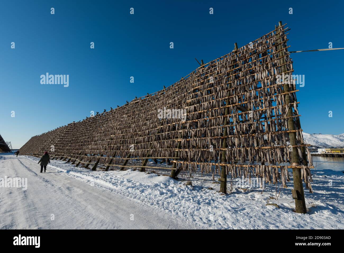 Fish drying on frame hi-res stock photography and images - Alamy