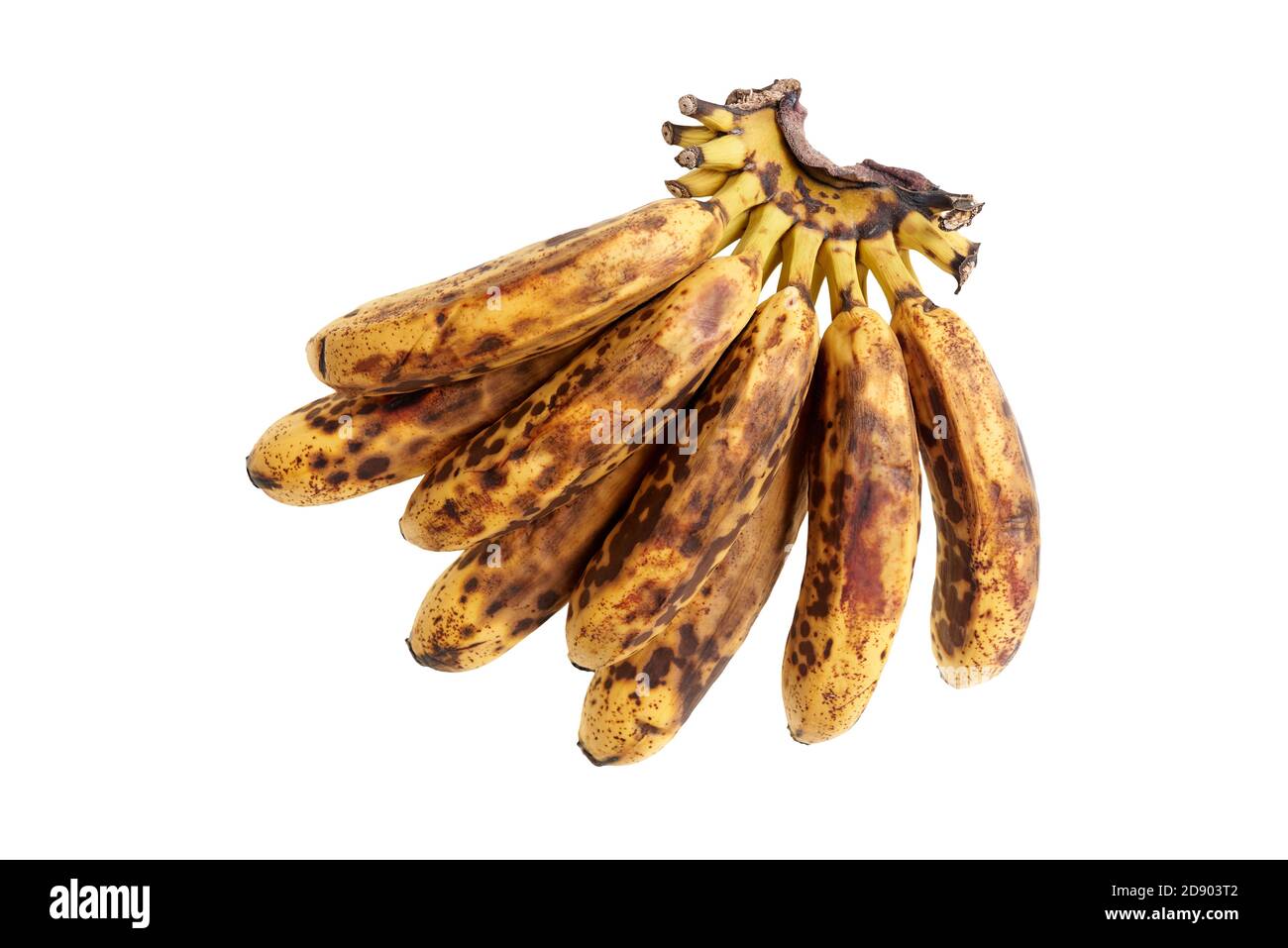 Branch of overripe mini bananas on white isolated background Stock Photo