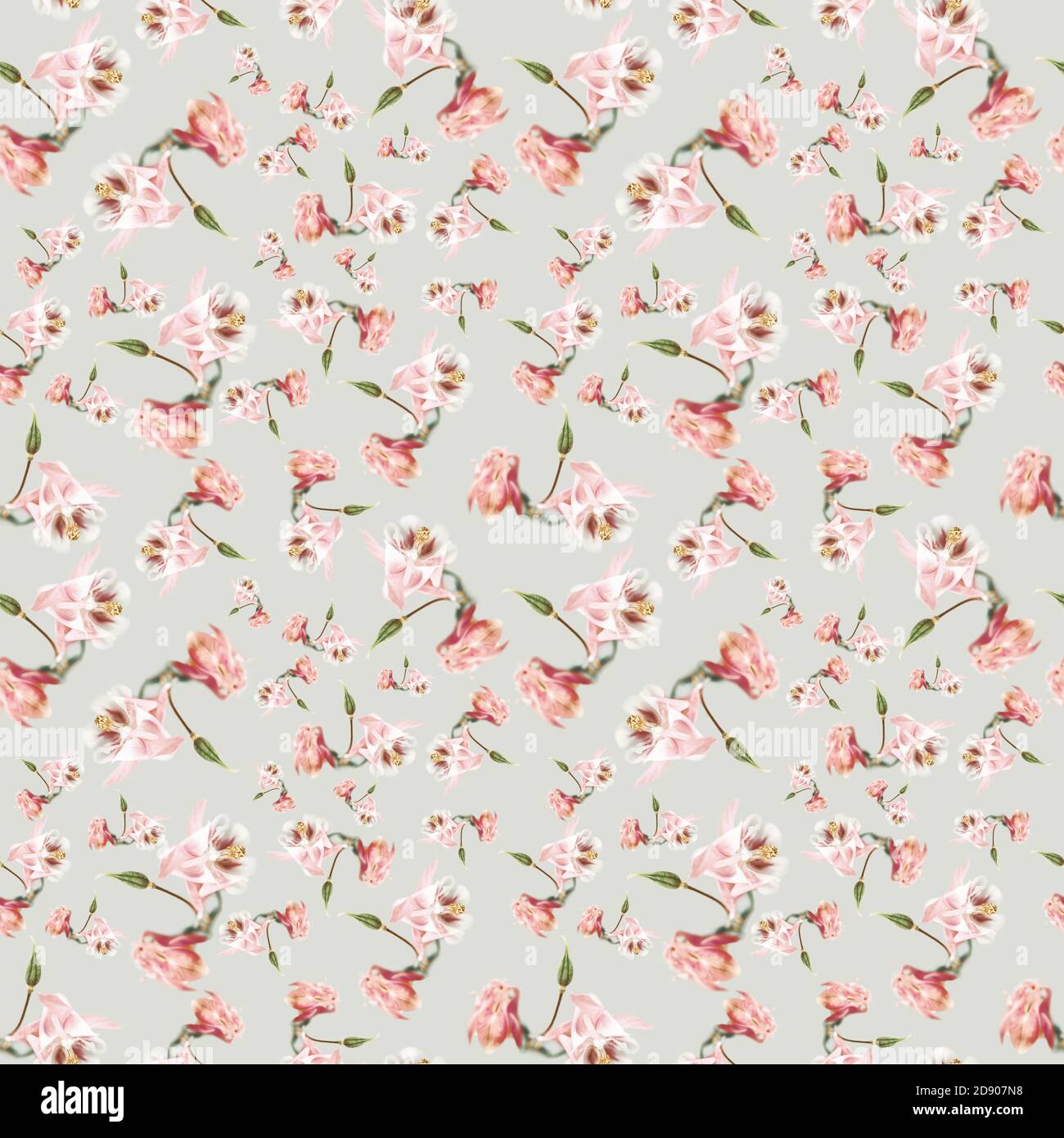 Beautiful seamless pattern. Seamless floral background of soft focus pink aquilegia flowers Stock Photo