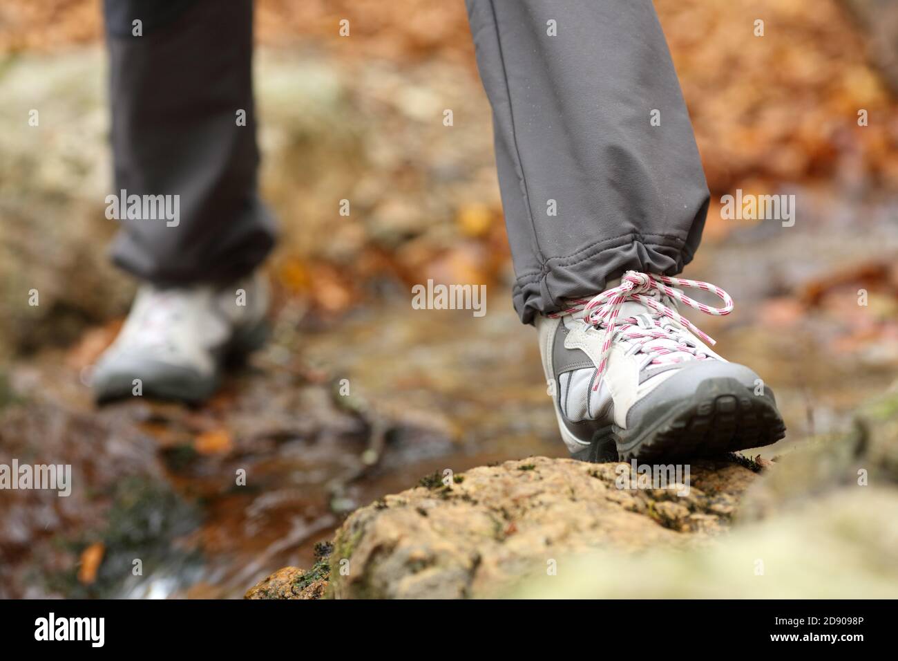 Close up of a trekker legs wearing trekking boots crossing a creek in autumn in a forest Stock Photo