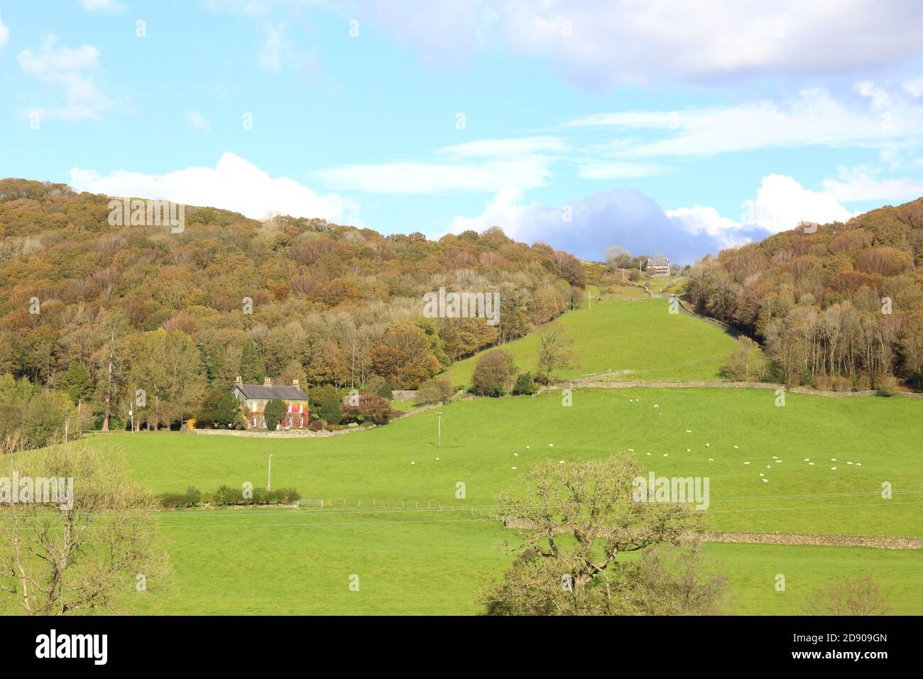 Farm Clearing between areas of ancient deciduous woodland. Stock Photo