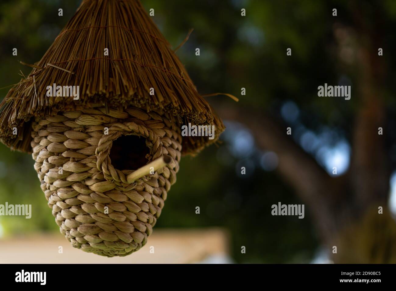 Household wicker nest hanging from tree. Hanging under ceiling wicker
