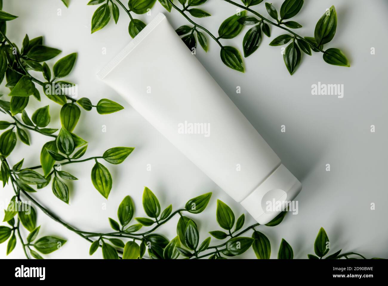 white blank cosmetic tube with green plant. product design mockup. top view Stock Photo