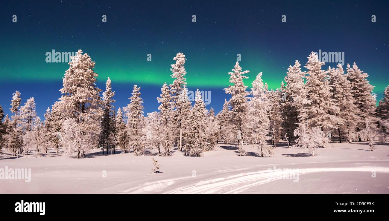 Panoramic landscape of snowy trees with Northern lights, Aurora Borealis in Lapland, Finland Stock Photo