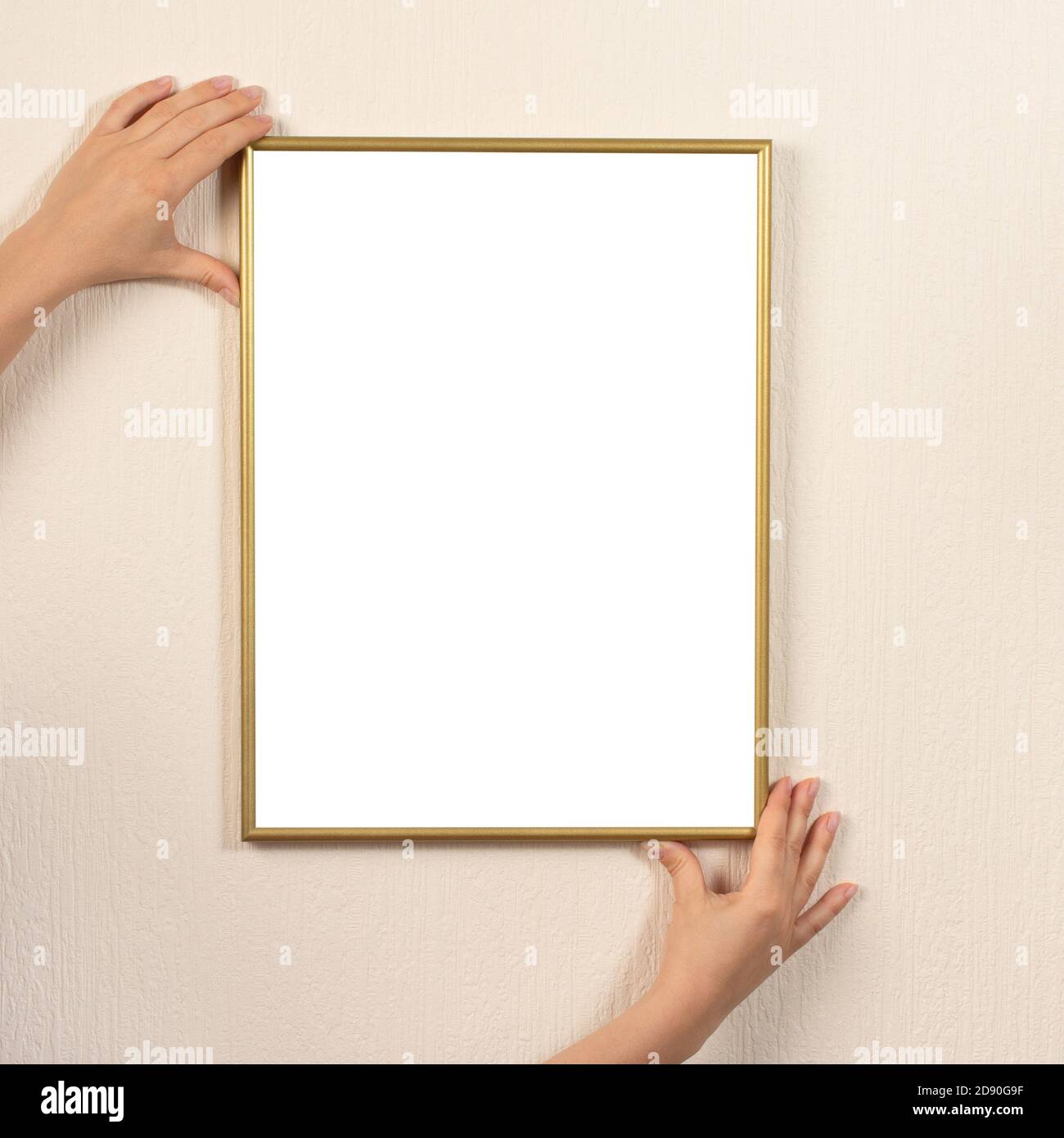 Woman hanging a frame mockup on a wall. young woman's hands hold a gold frame on a light wall background. Certificate, diploma, picture, gratitude whi Stock Photo