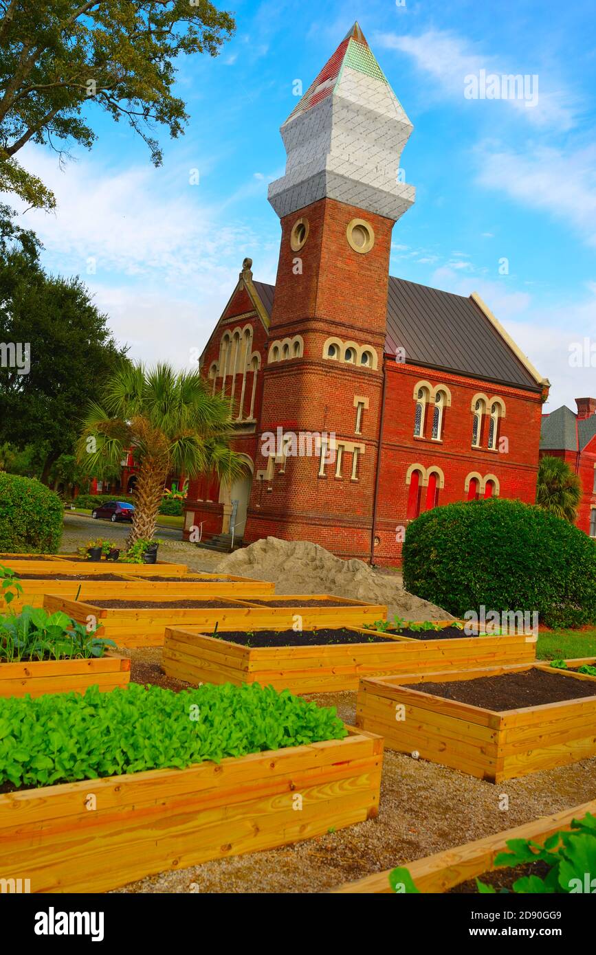 Urban Gardens Thriving with Vegetables, Flowers, Peppers, Mint, Avocados, Flowers, Sunflowers, with Copper Pipes for Watering and Nutrients. Stock Photo