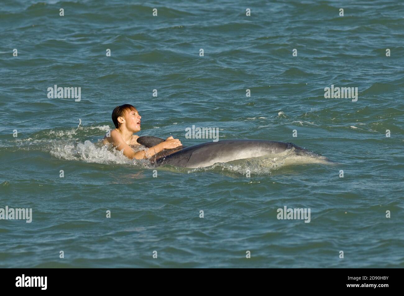 Дельфин спасает человека. Дельфины спасают. Дельфины и люди. Дельфины спасают людей от акул. Спа дельфин.