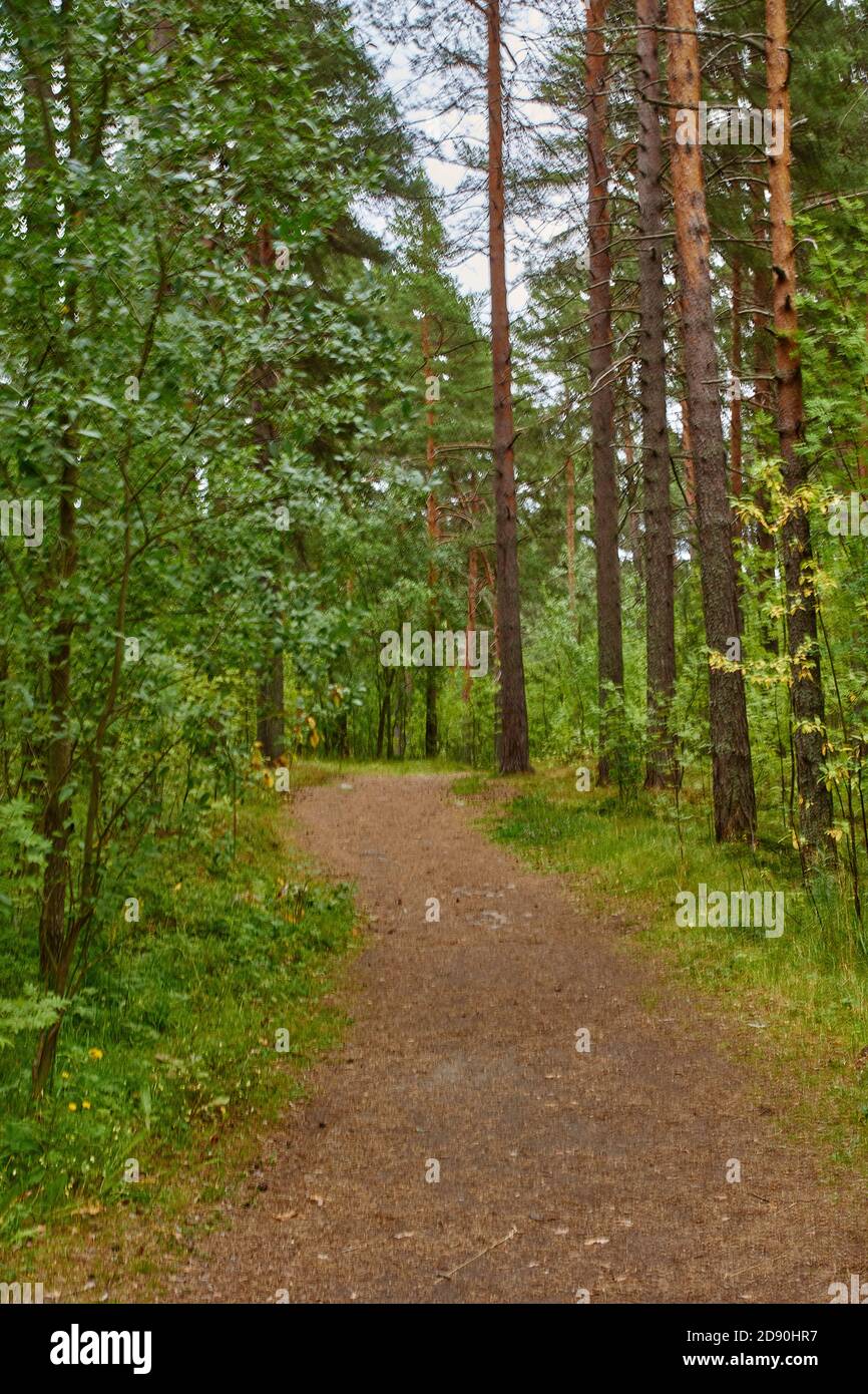 Summer cloudy day. The narrow dirt path in the woods. On the sides of the walkway deciduous trees. Russia, landscape, nature, summer. Petrozavodsk Stock Photo