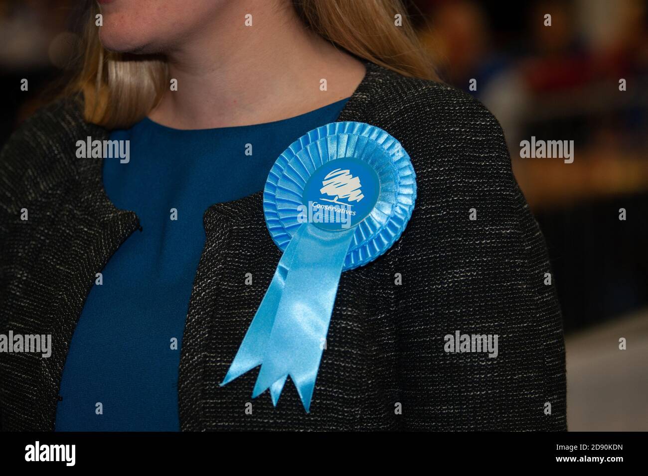 Titanic Exhibition Centre Belfast, UK 9th June 2017. Woman wearing a Conservative party Rosette Stock Photo
