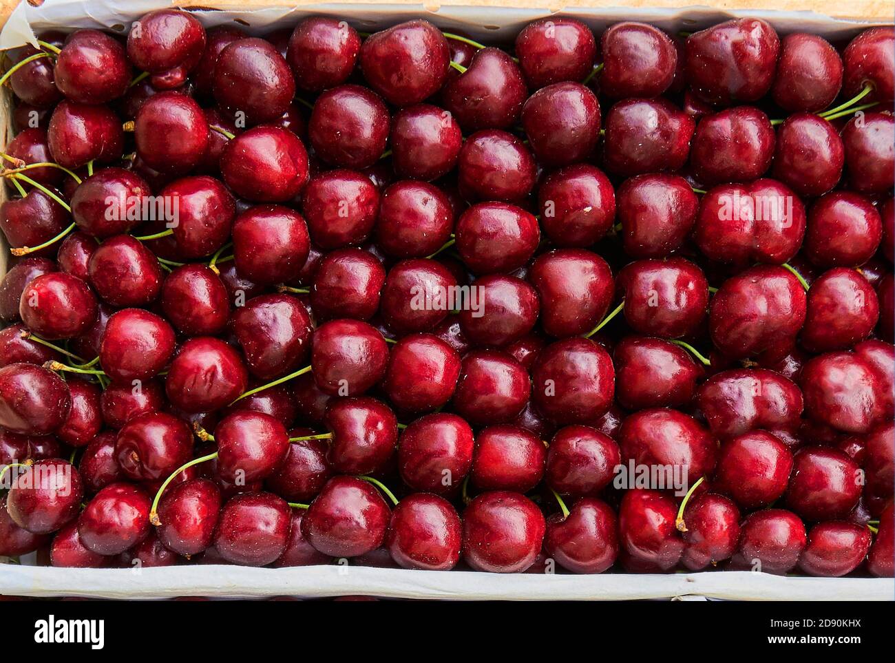 cherry ripe sweet viburnum cherry background Stock Photo - Alamy