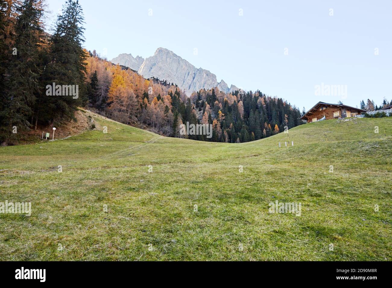 mountain meadow of Trentino Alto Adige Stock Photo - Alamy