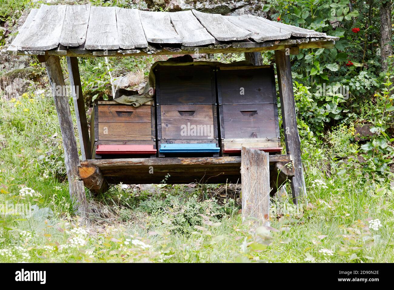 hive in trentino alto adige Stock Photo