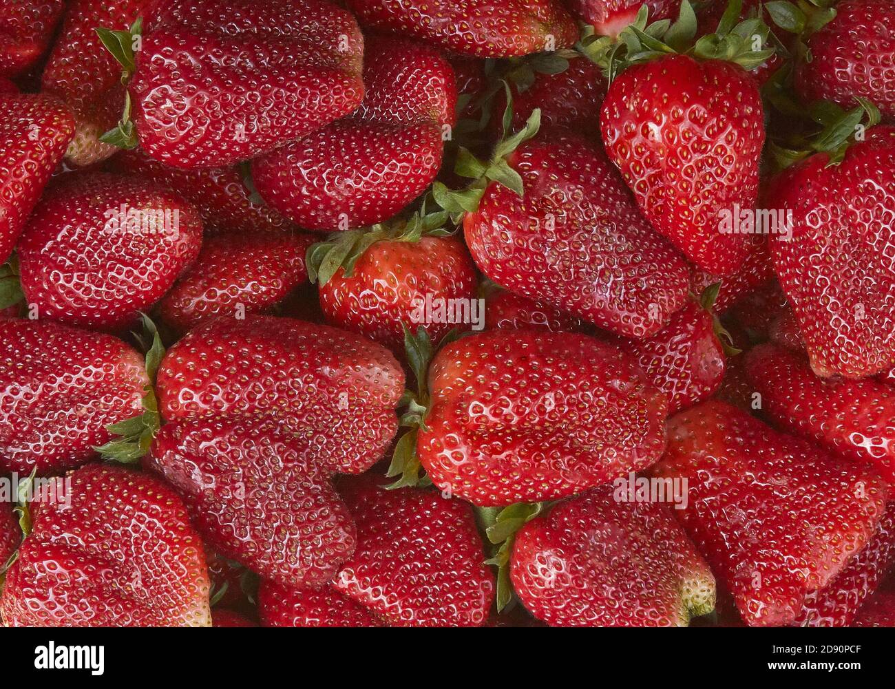Lots ripe tasty juicy green hi-res stock photography and images - Alamy