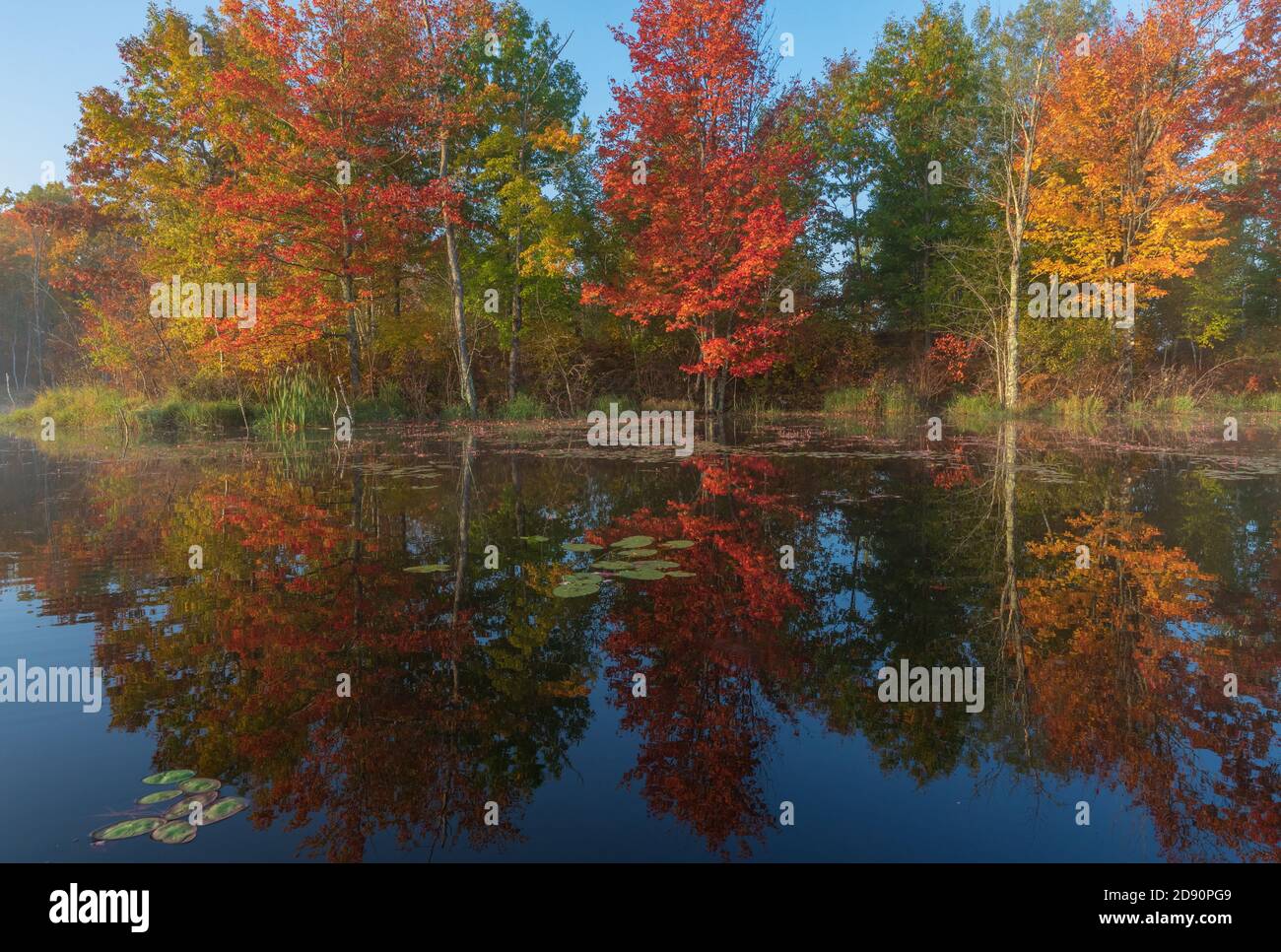Autumn on a wilderness lake in northern Wisconsin. Stock Photo
