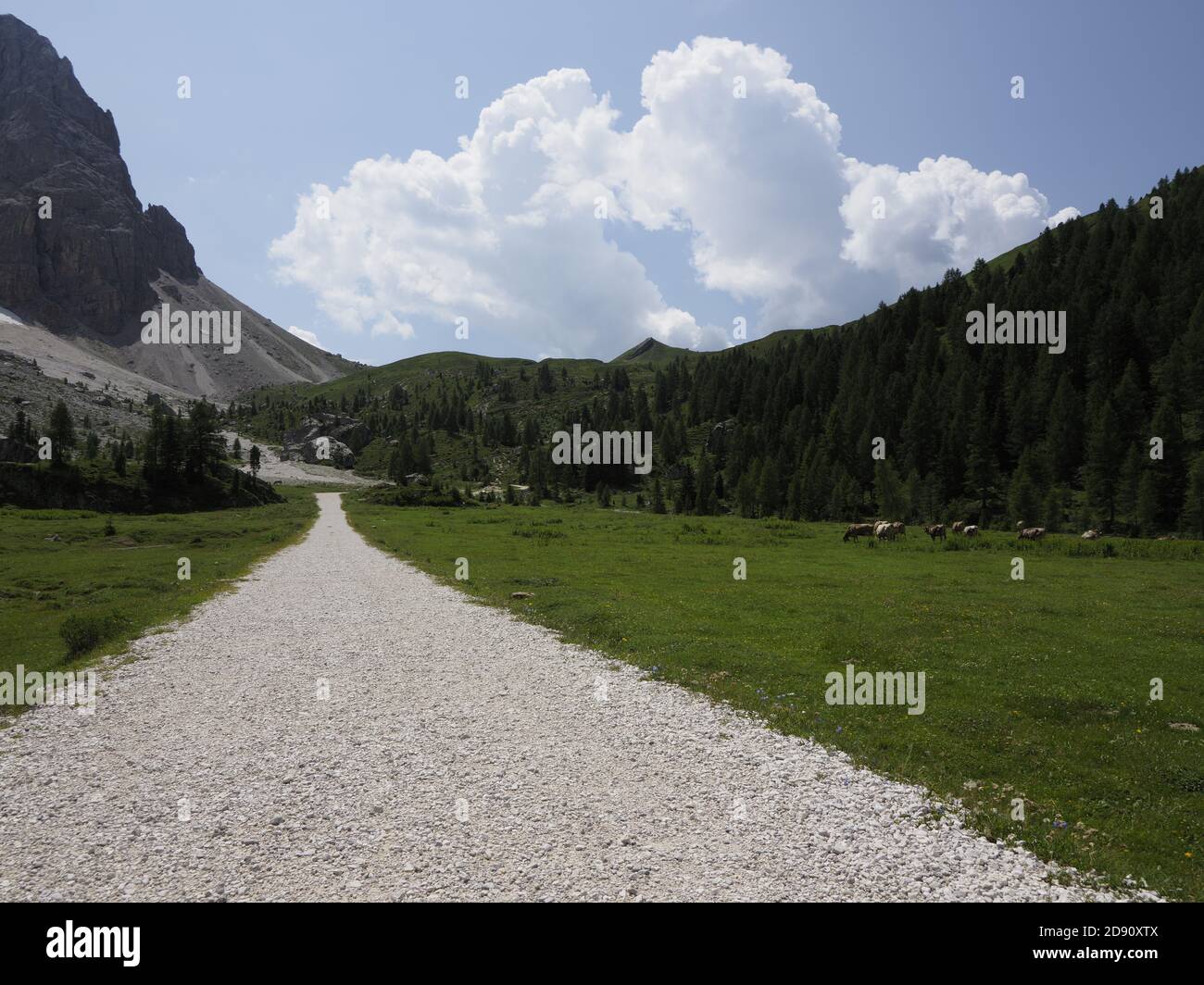 mountain road in the natural park of the dolomites Stock Photo - Alamy