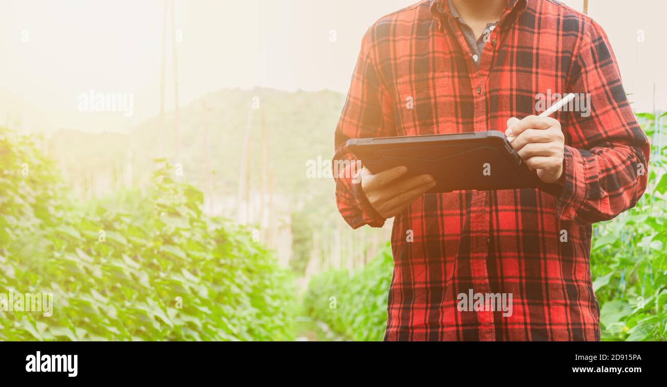 Smart farmer using technology app in tablet for checking grow analysis by technology in agriculture field farm Stock Photo