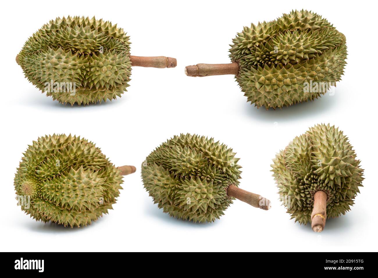 Fresh durian isolated on white background Stock Photo