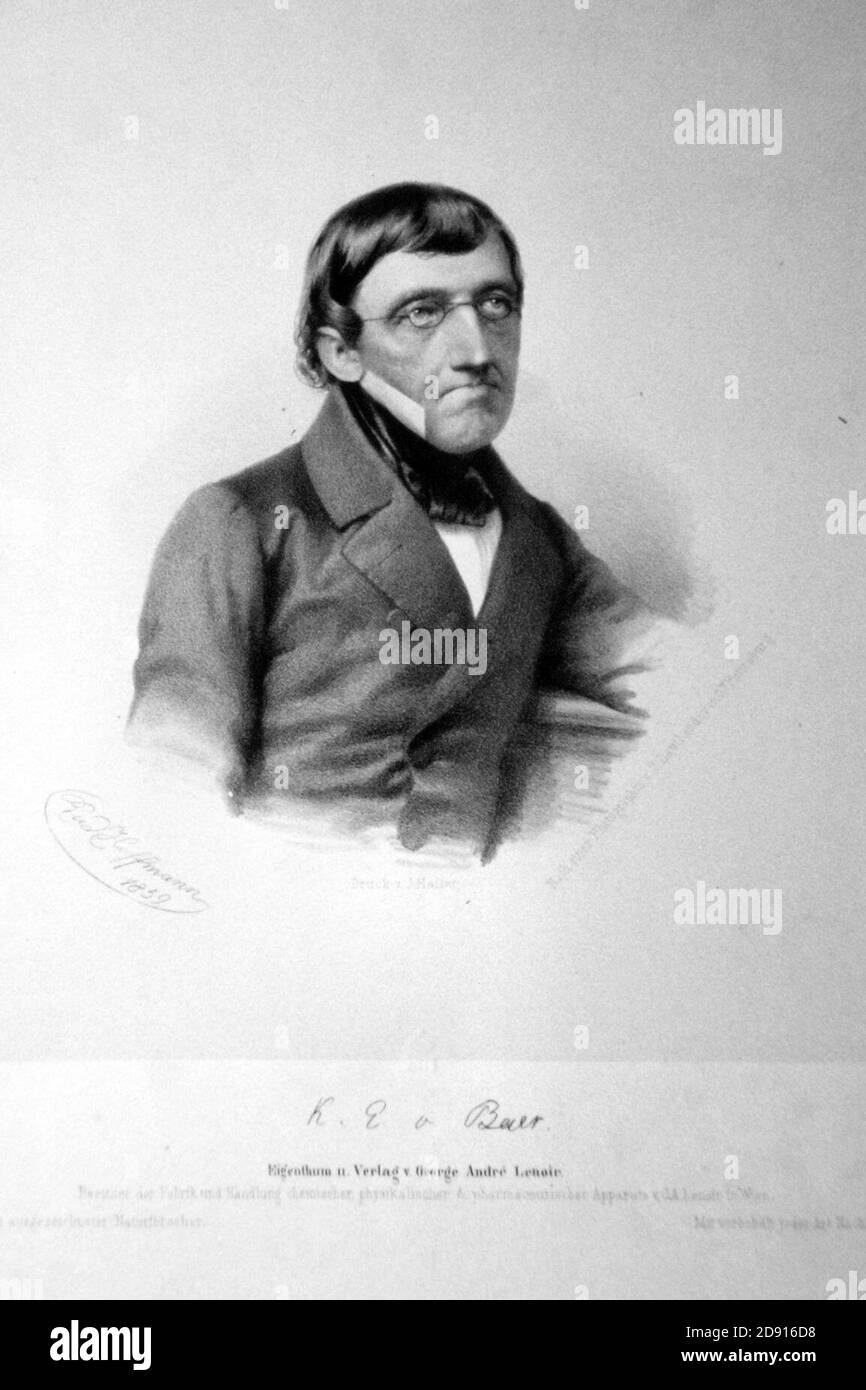 Karl Ernst von Baer Litho. Stock Photo
