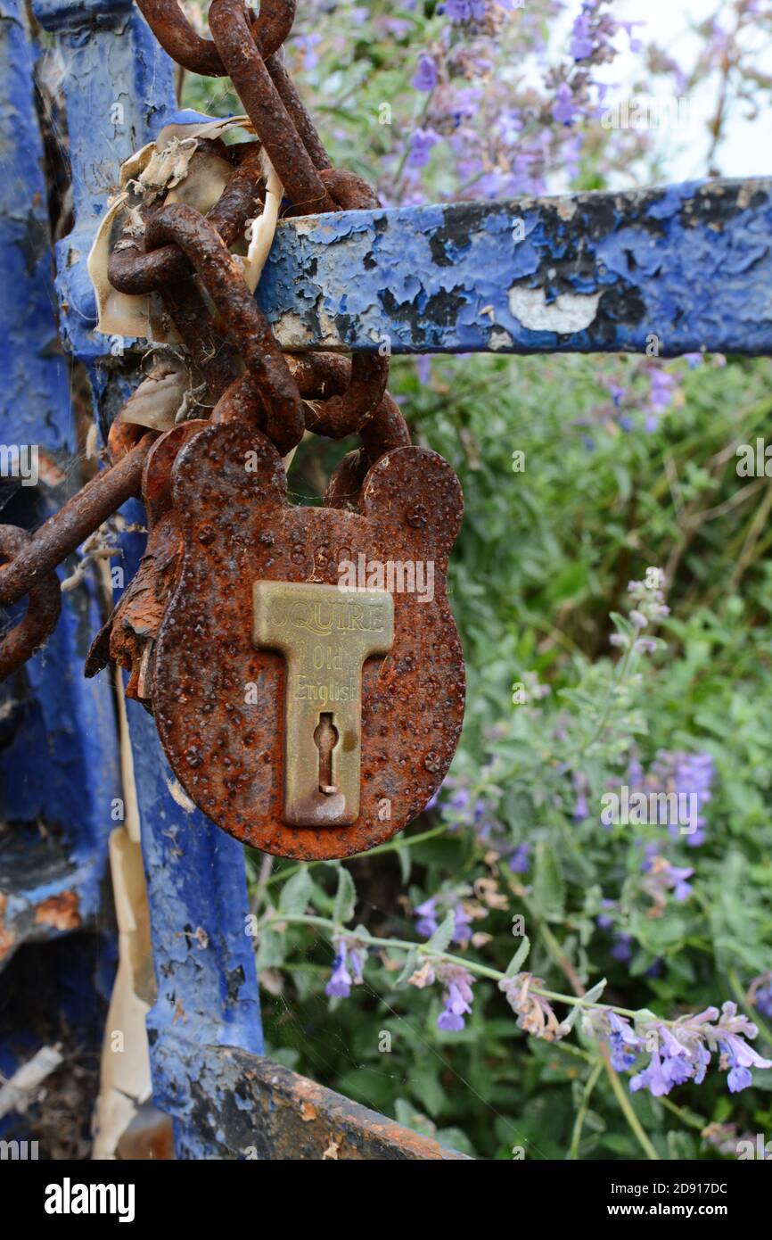 EASTBOURNE, UK - AUGUST 28, 2019: Rusted, broken padlock fastened to a metal chain on a gate with peeling blue paint in Eastbourne, East Sussex on Aug Stock Photo