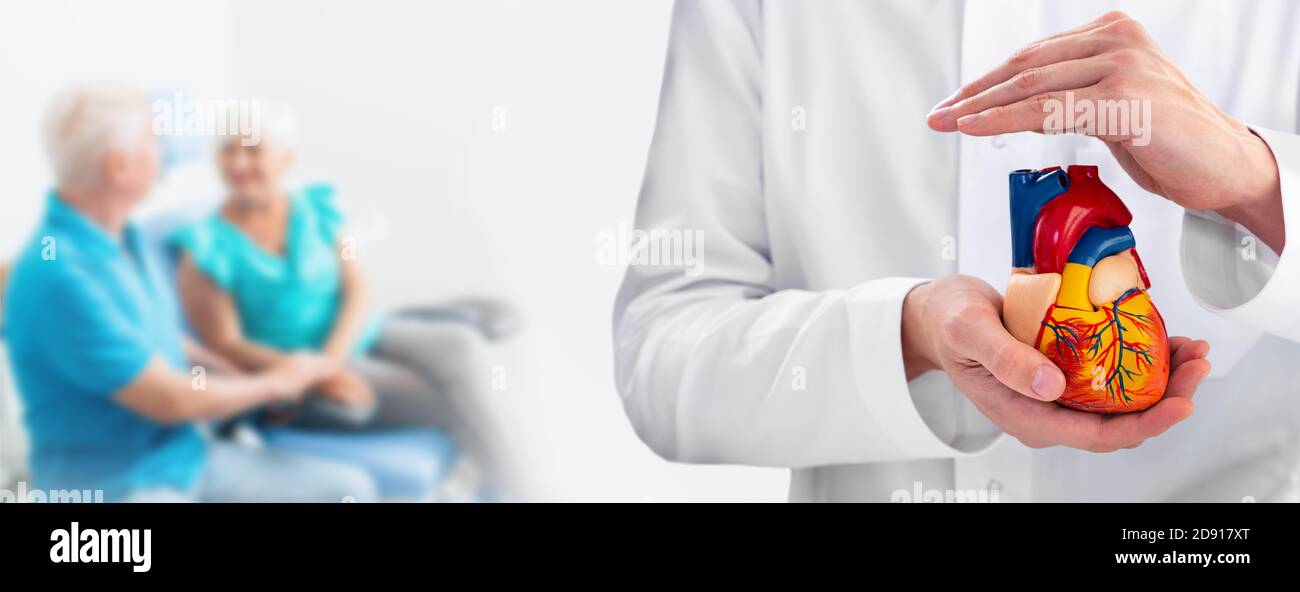 Concept of medical support for human cardiac health. Cardiologist holding a model heart in hands with his senior patients in the background Stock Photo