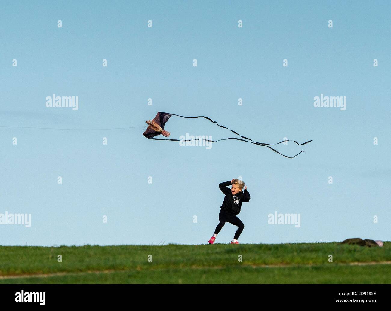 DUNSTABLE DOWNS - NOVEMBER 2: UK Weather, Windy weather was ideal today for kite flying on Dunstable Downs in Bedfordshire, on November 2, 2020. Photo by David Levenson/Alamy Live News Stock Photo