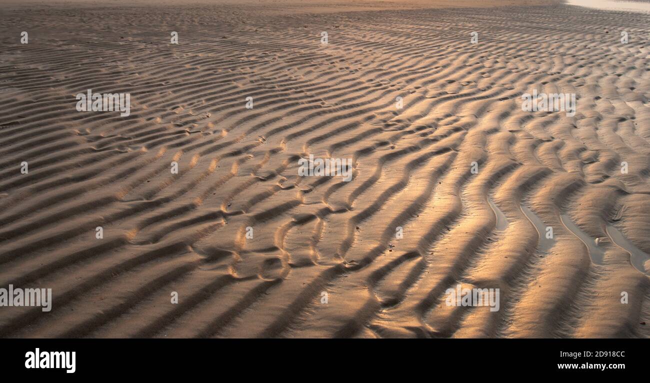 beach desert with impress and dune Stock Photo