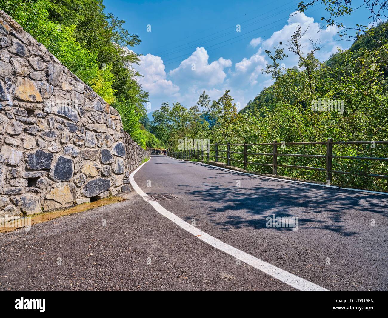 asphalt road in the middle of nature Stock Photo - Alamy