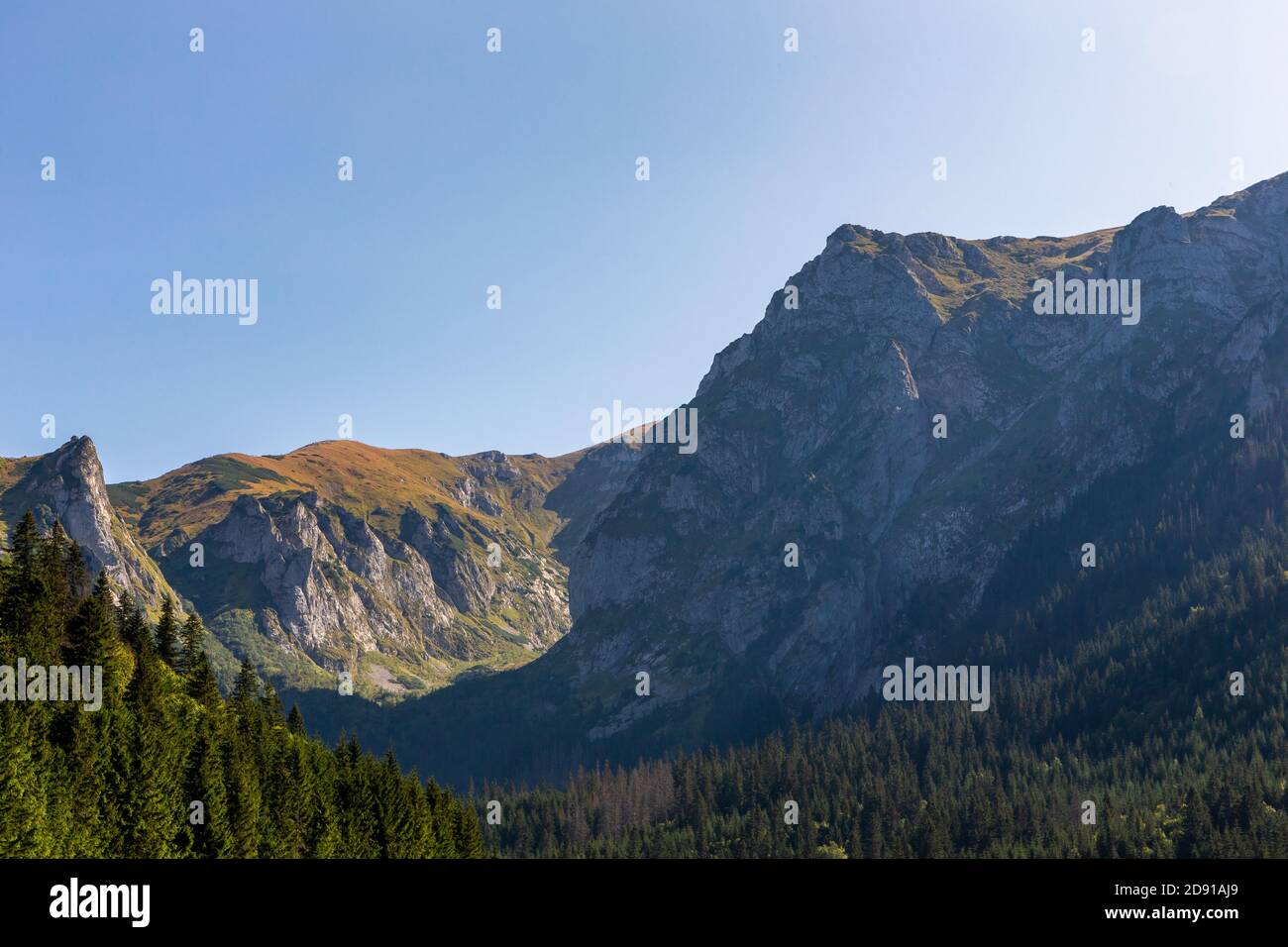 Tatra Mountains landscape with Giewont, Siodlowa Turnia, Mnichowe Turnie and Wielka Turnia peaks, seen from Wielka Polana Malolacka Glade in autumn, Stock Photo