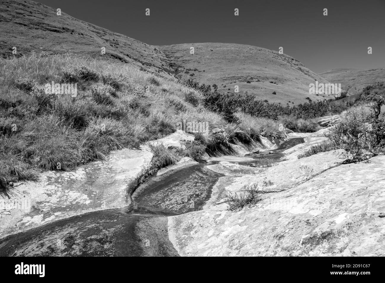 A small mountain stream flowing over a smooth weathered sandstone, through the high altitude grasslands of the Golden Gate National park, South Africa Stock Photo