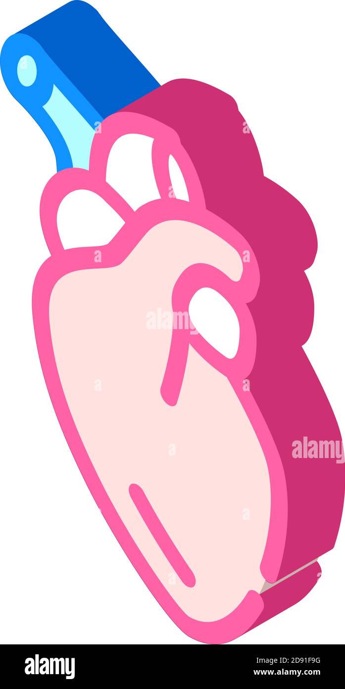 heart human organ isometric icon vector illustration Stock Vector Image ...