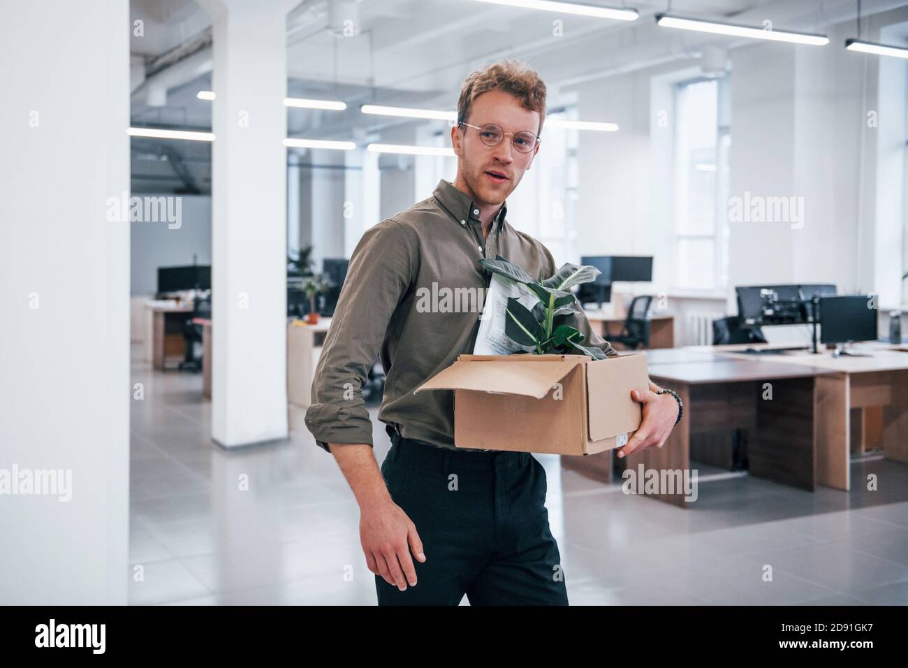 Office worker in formal wear walking with box with green plant inside of it Stock Photo