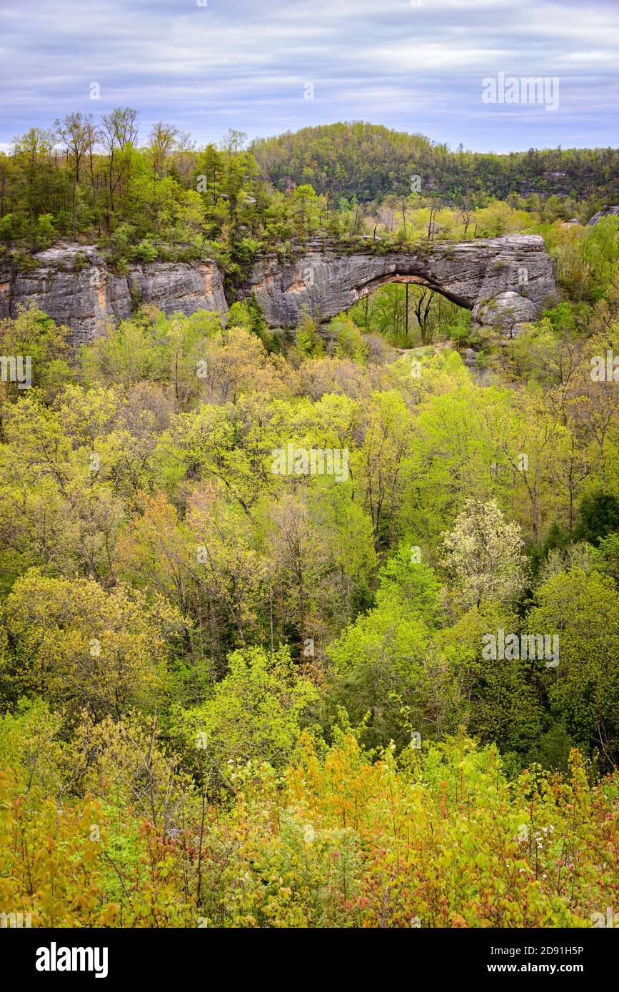 Big South Fork National River and Recreation Area Stock Photo Alamy