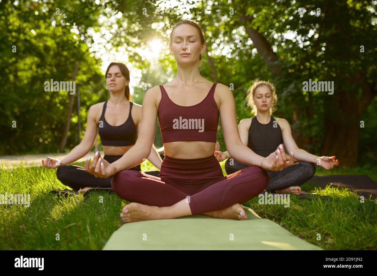 yoga-group-outside-young-hi-res-stock-photography-and-images-alamy
